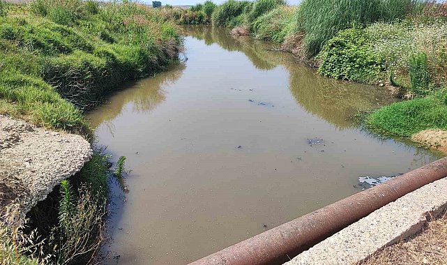 Dere yatağına kanalizasyon akıyor
