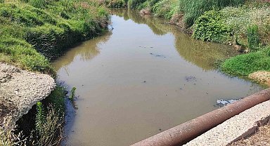 Dere yatağına kanalizasyon akıyor