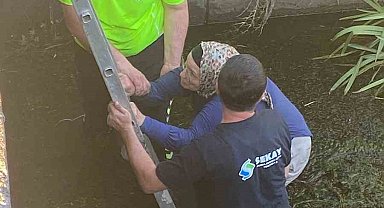 Dereye atlayan kadını, polis ve belediye çalışanı kurtardı