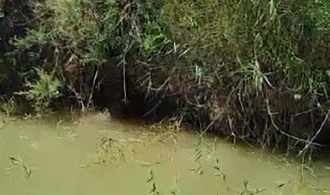 Dereye düşen köpeği itfaiye ekipleri kurtardı