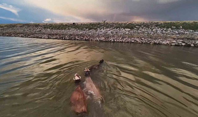 Devegeçidi Barajında renkli görüntüler