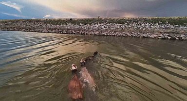 Devegeçidi Barajında renkli görüntüler