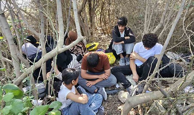 Didim'de 17 düzensiz göçmen yakalandı