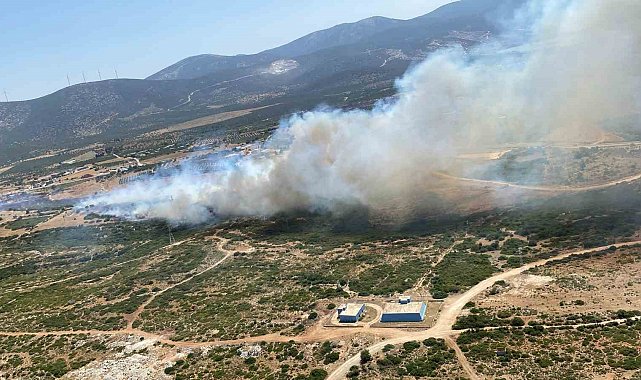 Didim'de makilik alan yangını