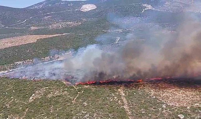 Didim'de makilik yangını