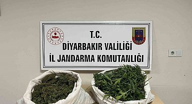 Diyarbakır'da 8 kilo esrar ele geçirildi