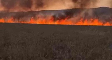 Diyarbakır'da buğday tarlasında anız yangını