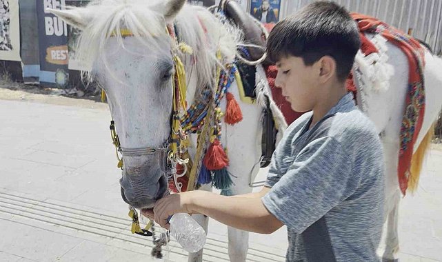 Diyarbakır'da kavurucu sıcaklardan dolayı tarihi mekanlar boş kaldı