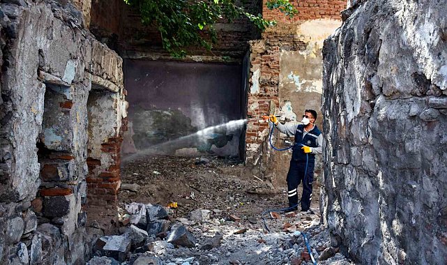 Diyarbakır'da metruk binalarda ilaçlama yapıldı