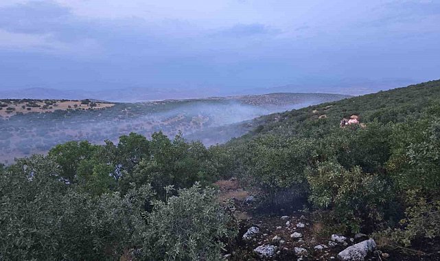 Diyarbakır'da örtü yangını