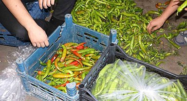 Diyarbakır'da sıcak hava sebze ve meyveleri etkiledi