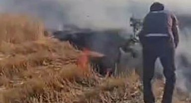 Diyarbakır'da vatandaşlar ağaç dallarını kopararak yangını söndürmeye çalıştı