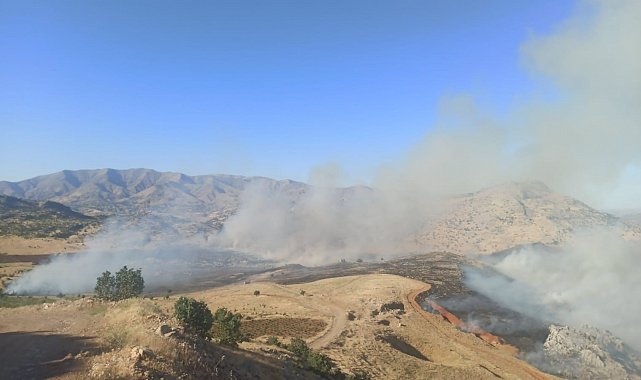 Diyarbakır'da yaylada örtü yangını