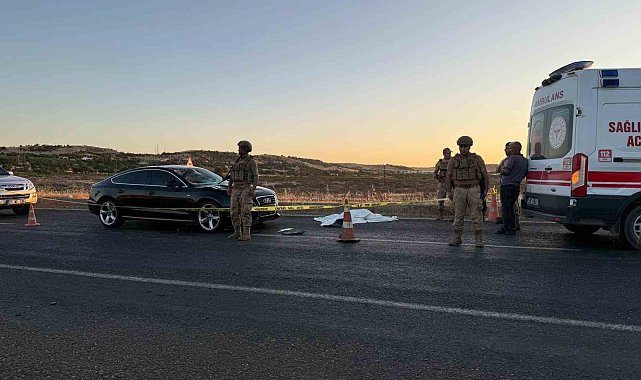 Diyarbakır'da yolun karşısına geçemeye çalışan çifte otomobil çarptı: 1 ölü, 1 yaralı