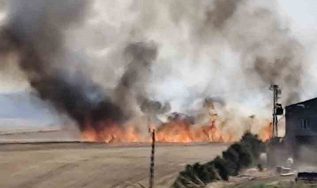 Diyarbakır'ın 3 mahallesinde buğday tarlası yangını