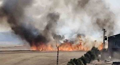 Diyarbakır'ın 3 mahallesinde buğday tarlası yangını