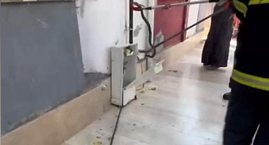 Doğal gaz kutusuna giren yılan doğal ortamına bırakıldı