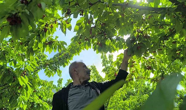 Doğayla iç içe lezzetli bir deneyim