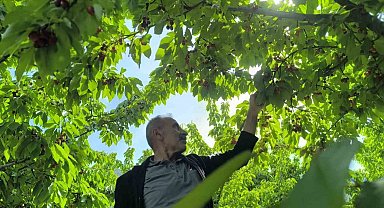 Doğayla iç içe lezzetli bir deneyim