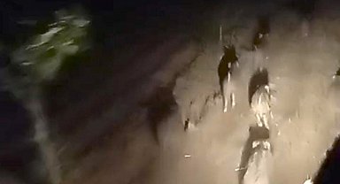 Domuz sürüsünü sessizce kovaladı