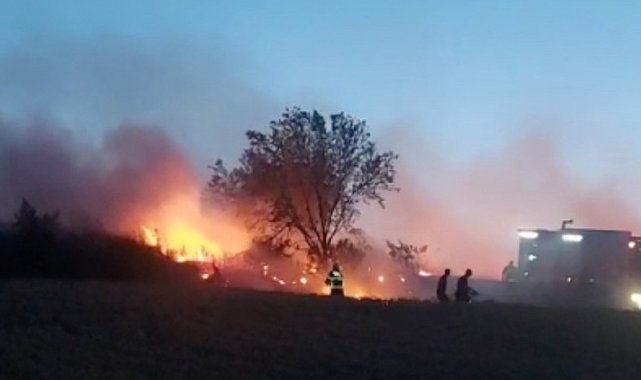Düğünde atılan havai fişek buğday tarlasını küle çevirdi