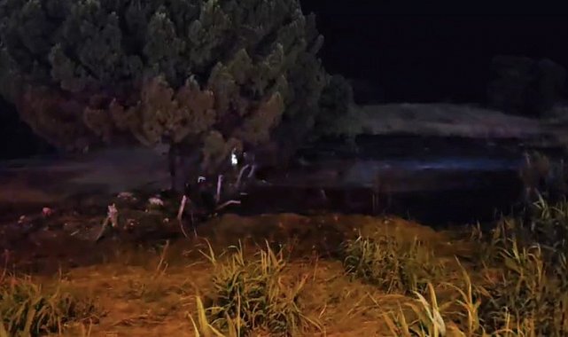 Düğünden atılan havai fişek ormanı yaktı, salon boşaltıldı