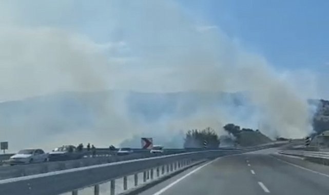 Dursunbey'de orman yangını çıktı