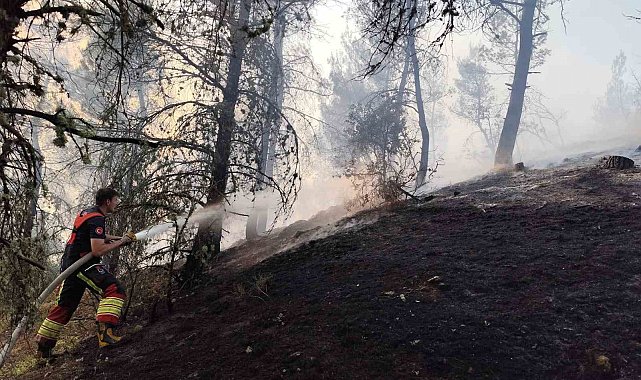 Dursunbey'de orman yangını