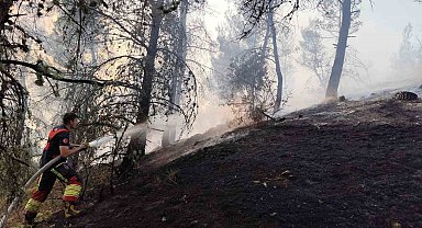 Dursunbey'de orman yangını