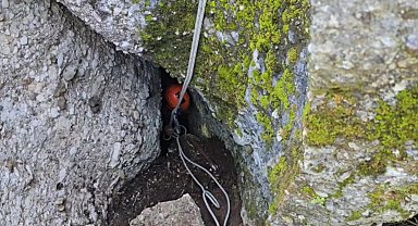 Düştüğü mağarada 3 gün mahsur kalan keçiyi kurtarma ekipleri çıkardı