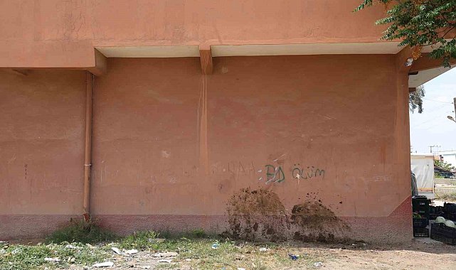 Duvara toslayan at telef oldu