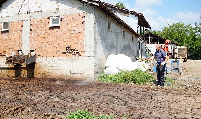 Düzce'de görülmeye başladı