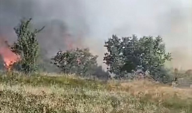 Düzce'de orman yangını: 5 hektarlık alan küle döndü