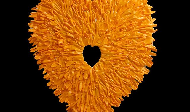 Düzceli akademisyeninin eseri Portekiz'de sergileniyor