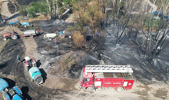 Eber Gölü yanındaki tarım arazilerinde yangın çıktı