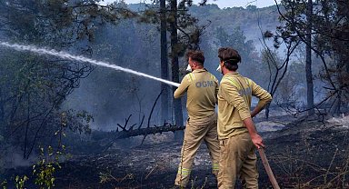 Edirne'de orman yangını: İstanbul, Tekirdağ, Kırklareli ve Edirne Orman ekipleri alarmda