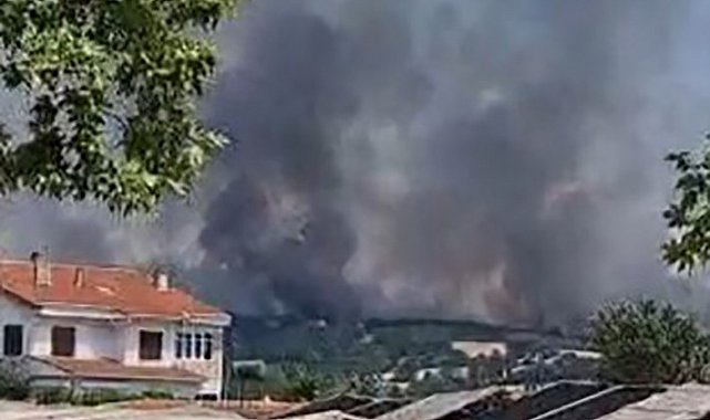 Edirne'de orman yangınına havadan ve karadan müdahale ediliyor