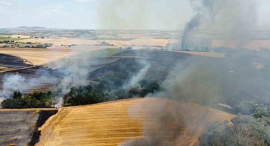 Edirne'de tarlada çıkan yangın söndürüldü