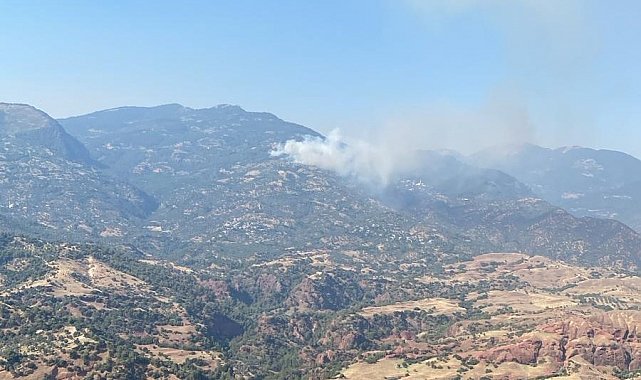 Efeler Horozköy'de yangın