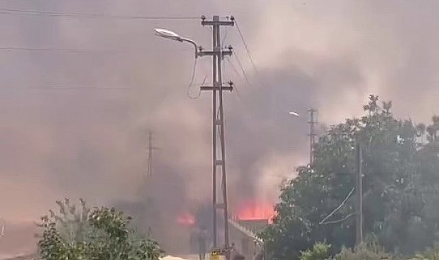 Ekin yangını korkuttu