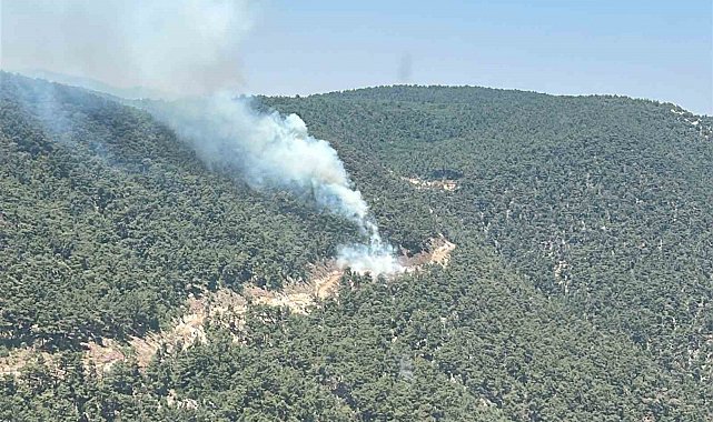 Ekipler orman yangını için seferber oldu