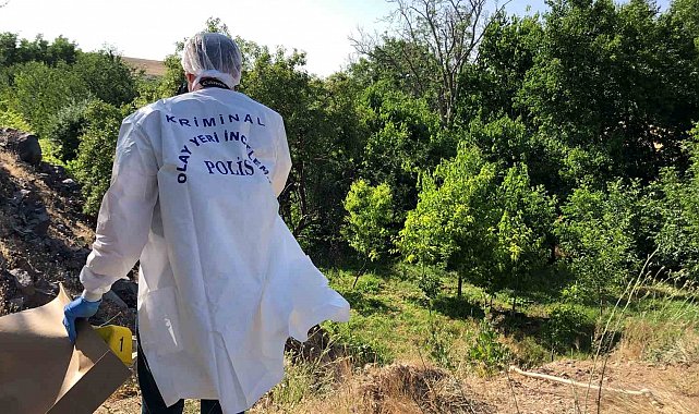 Elazığ'da ağaca asılı halde erkek cesedi bulundu