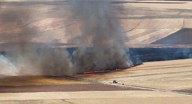 Elazığ'da arazi yangını, ekili alanlarda küle döndü