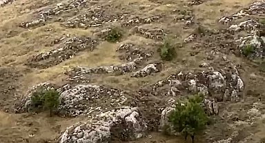 Elazığ'da dağ keçileri sürü halinde görüntülendi