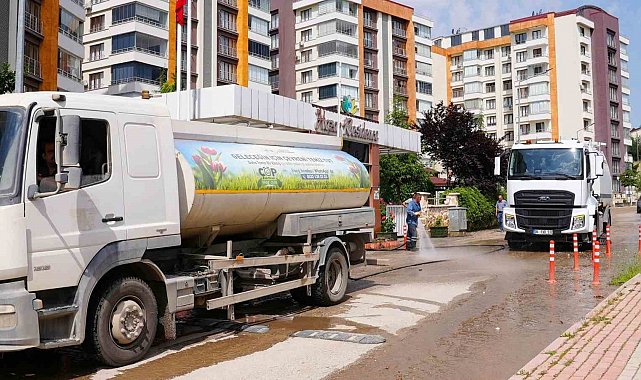 Elazığ'da mahalle temizlik çalışmaları sürüyor