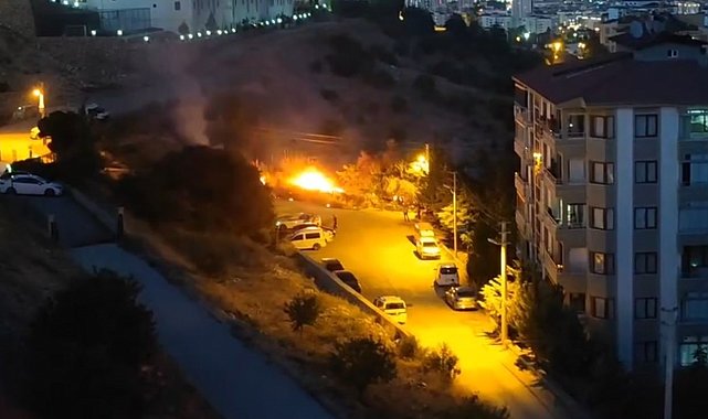 Elazığ'da ot yangını