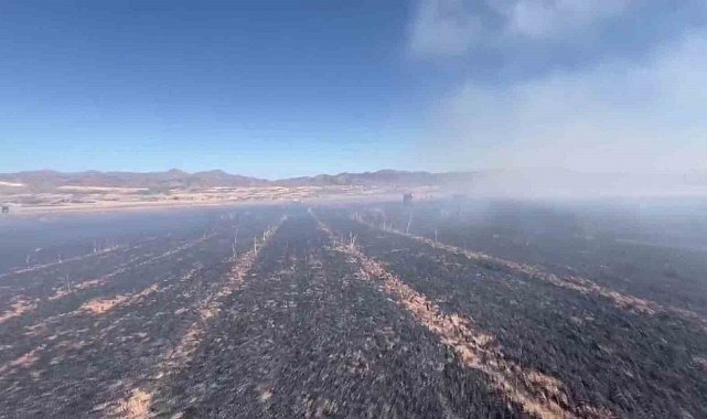 Elazığ'da yangın, 60 dönümlük ekili alanı küle çevirdi