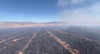 Elazığ'da yangın, 60 dönümlük ekili alanı küle çevirdi