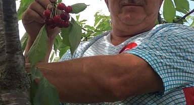 Elektrik akımına kapıldı, hayatını kaybetti