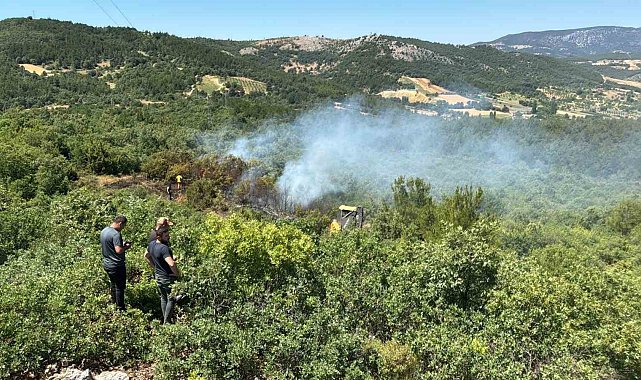 Enerji nakil hattından çıkan orman yangını kontrol altına alındı